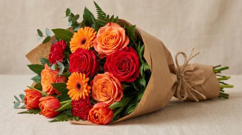 Выбираем цветы по знаку зодиака: Овен