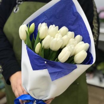 Белые тюльпаны 23 шт. код  64416p