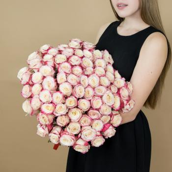 Розы красно-белые 75 шт 40 см (Эквадор) (артикул букета  17056p)
