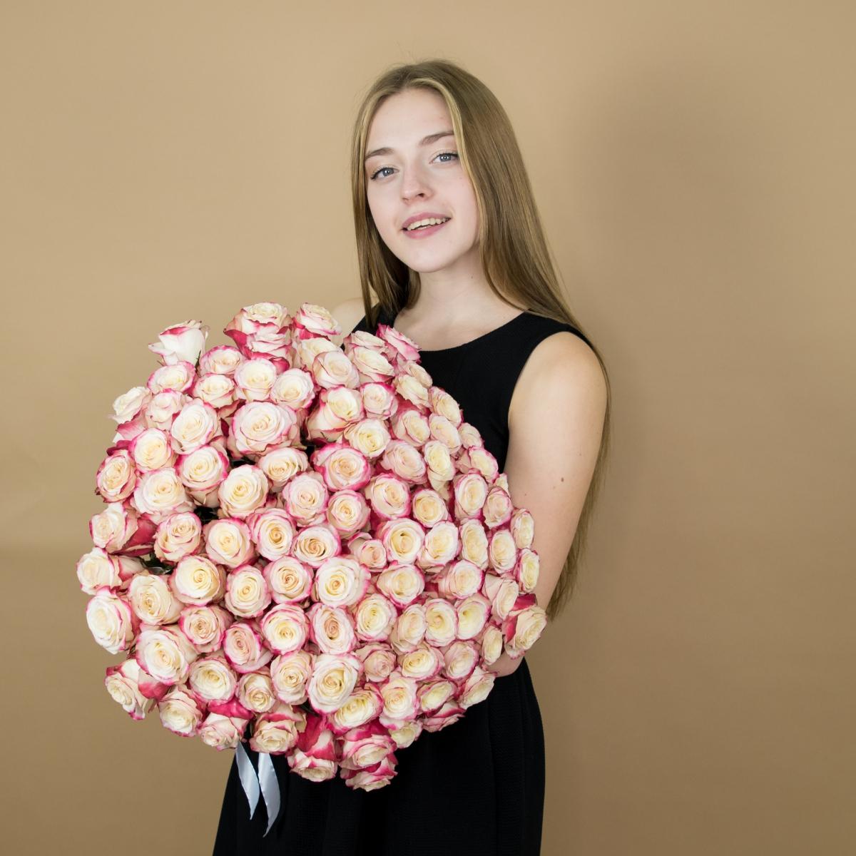Розы красно-белые 101 шт. (40 см) код  17088psk