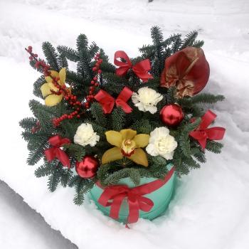 Рождественский подарок