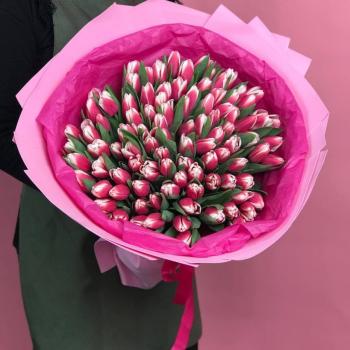 Тюльпаны розово-белые 101 штука